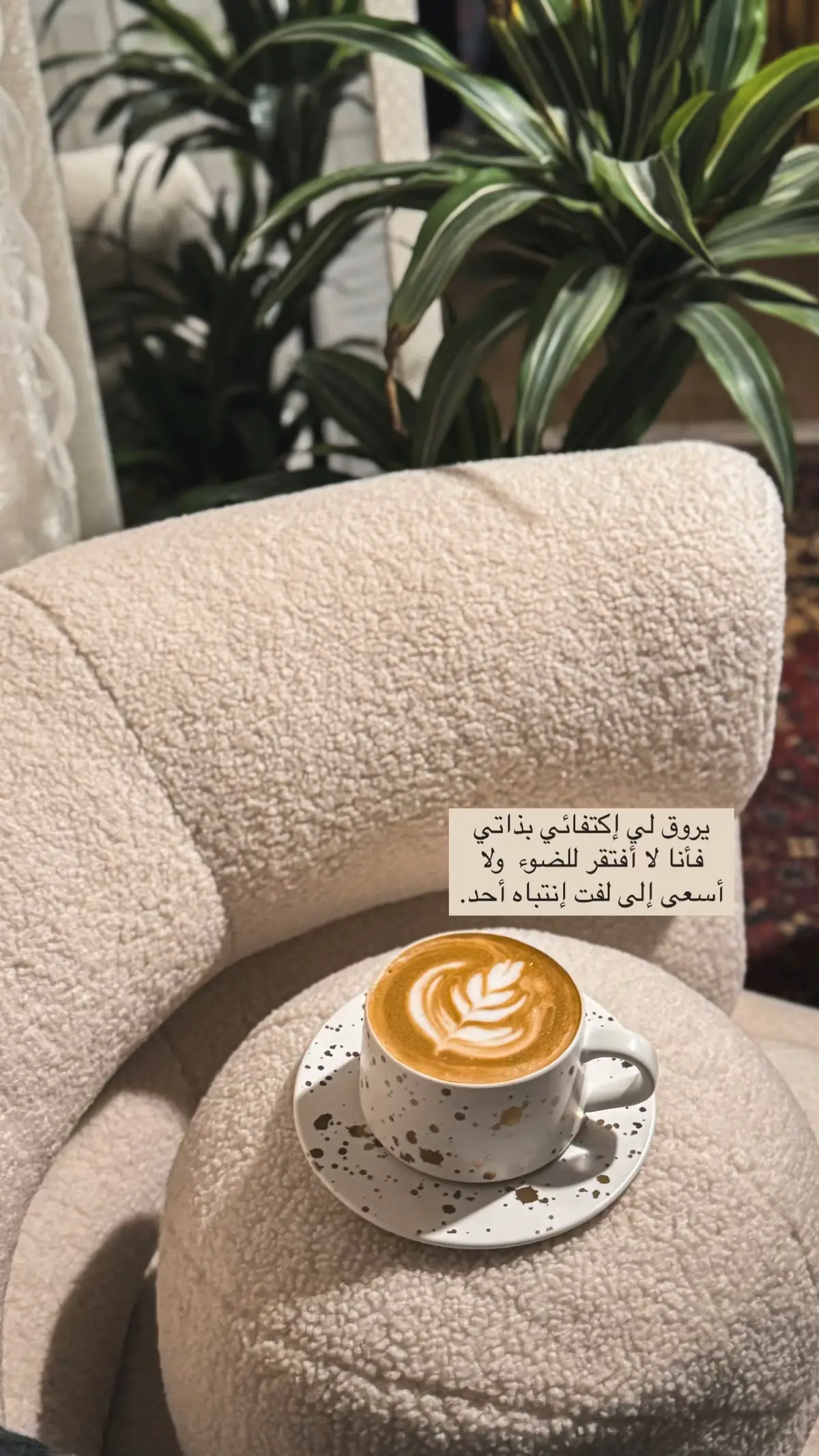 *يروق لي إكتفائي بذاتي فأنا لا أفتقر للضوء  ولا أسعى إلى لفت إنتباه أحد#قهوة_المساء #قهوة_مع_من_نحب☕♥️ #اكسلبورررررر 