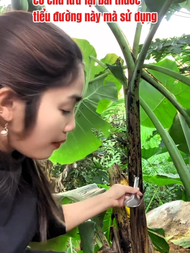 bài thuốc trị tiểu đường bằng nước cây chuối non #baithuoc #tieuduong #humor #How T Fake Tan Ur Face #hair 