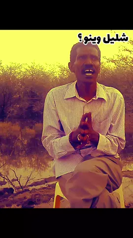 عبد المنعم اب سم | هودنا ✨️🏵 #عبد_المنعم_ابسم #الجان_في_الوجدان #الحوت_محمودعبدالعزيز #السودان #سودانيز_تيك_توك_مشاهير_السودان 