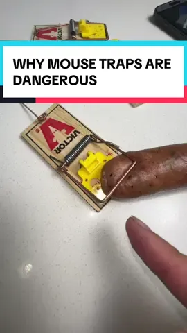 Helps keep mice out while being safe around kids & pets #mousetrap #mousepad #mice #mouse #exterminator 