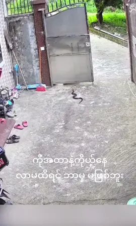 #ရောက်ချင်တဲ့နေရာရောက်👌 #foryoupage #mna 