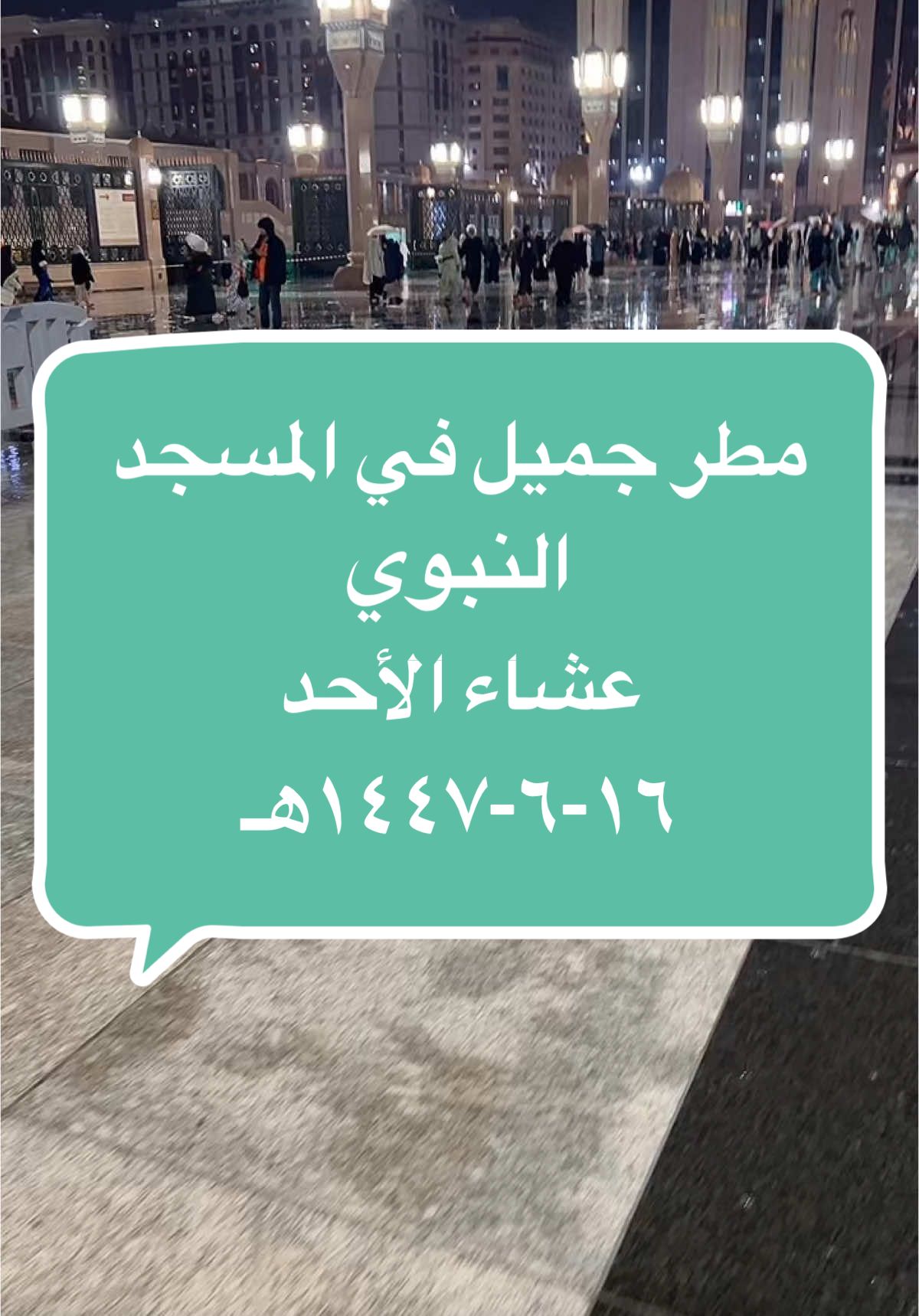 #امطار #المدينة #المسجد_النبوي #المدينة_المنورة #طيبة_المطيبة 