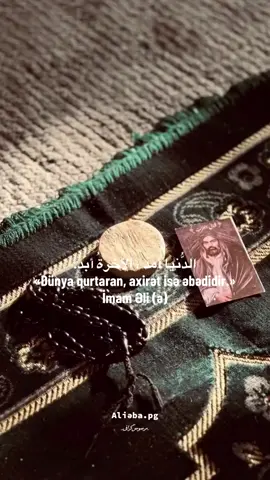 «Dünya qurtaran, axirət isə əbədidir.»  İmam Əli (ə)🫀#Allah #dünya #əhlibeyt #keşfetteyizzz #keşfetbeniöneçıkar #fyppppppppppppppppppppppp 