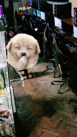 Que fue, como se va expresar asi? WTF! 🤔