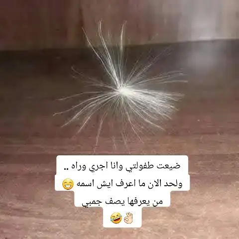 #الشعب_الصيني_ماله_حل😂😂 #اكسبلورexplore 