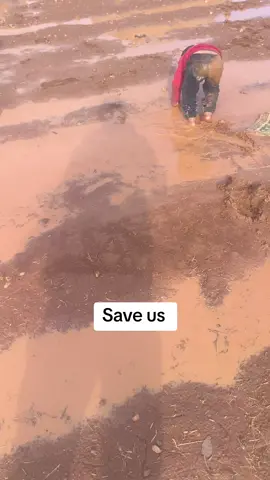 #UK #Donate #Like #italian #tik_tok 