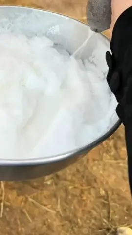 #ماشاءالله #اكسبلورexplore #fyp #عاده_نشر_فيديو🔄 #الشعب_الصيني_ماله_حل😂😂 