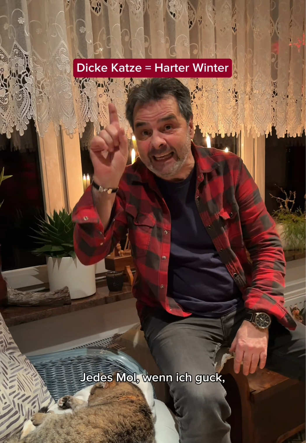 Schon gewusst? Dicke Katze = harter Winter, dünne Katze = milder Winter! 🙀🥶 #rups #erzgebirge #volksmusik #katze #randfichten 