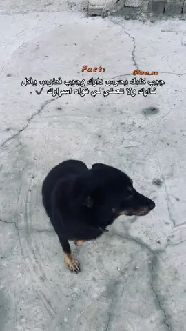 ✔️ .! #القبه_درنه_عين_ماره_البيضاء_طبرق_بنغازي #اكسبلورررر #مهيمن_الغيثي🇱🇾 #explore #libya🇱🇾 