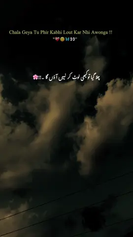 چلا گیا تو کبھی لوٹ کر نہیں آؤں گا 🫠💔#fyp #1millionaudition #foryoupage #grow #account @TikTok 