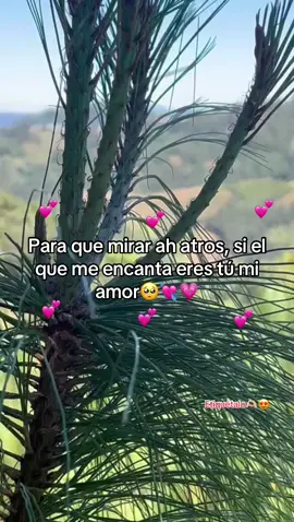 #😻❤️‍🩹💕#paratiiii 💘 #frasesdeamor💕 #dedica 💗 #fypシ #😍❤️‍🩹