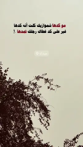 مو كدها شموازيك 😅🤷🏻‍♂️ #مالي_خلق_احط_هاشتاقات🦦 #تصويري_احترافي_الاجواء👌🏻🕊😴 #عباراتكم_الفخمه📿📌 #متابعه_للحساب #اعاده_نشر🔁 