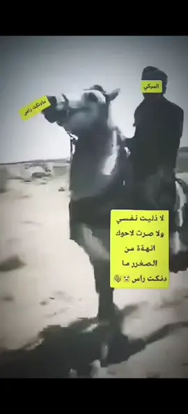 #خيل_وخياله🐎 #خيل_عربي #عبارات_جميلة_وقويه😉🖤 #اعادة_النشر🔃 #fyp 