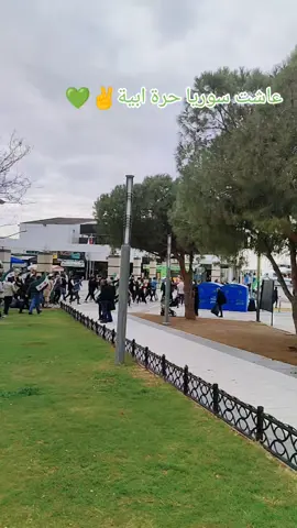 إزمير تركيا ذكر تحرير سوريا ✌💚🥺#ازمير_تركيا #ازمير_هاتاي_كلس_قونية_طرابزون_دياربكر 