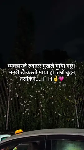 #creatorsearchinsights #🦋 