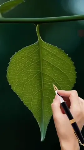 A name ❤️🥰💞 repost 🤌🏻#viewsproblem💔😔 #unfreezemyaccpunt🥺😭🙏 #نام۔کی۔ویدیو۔کے۔لیے۔کومنٹ۔کرے #foryoupage❤️❤️ #CapCut 