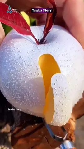 #👰🏻‍♀️🤵🏻‍♂️💐♡💞 