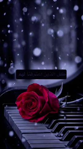 گل الذين اعترفنا لهم ان الحياة علينا قاسية  لم يقصروا .. لقد جعلوها أشد قسوة.❤️‍🩹🥀