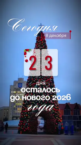 #отсчетдоновогогода2026  #top 