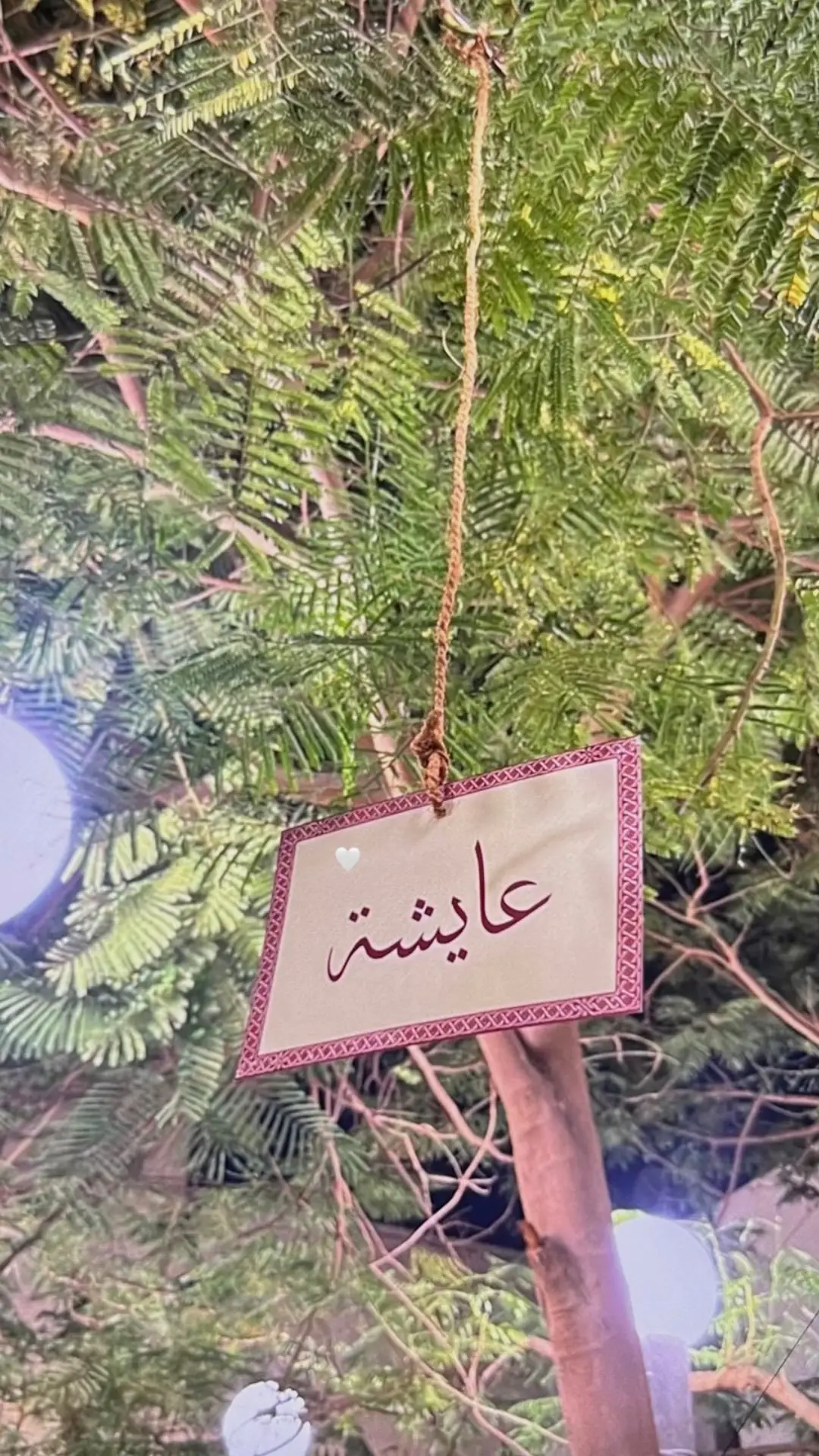 #bahrain🇧🇭 #ليالي_المحرق 