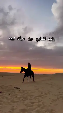 #يا_بعيد_المساري_وين_دربك 