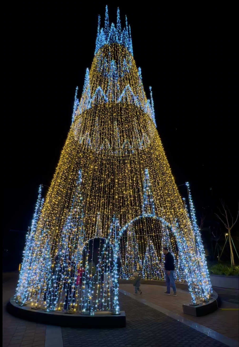 Çox gözəl deyil?😍 #christmasvibes #christmasmood #newyear #yeniil 