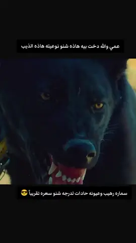 ابو سرحان الهارف 🦅#ابو_نمر_الجنوبي_العراقي #صعدوو_ءڪڪسبلور_للايڪ_متابعه #اعاده_نشر🔁 