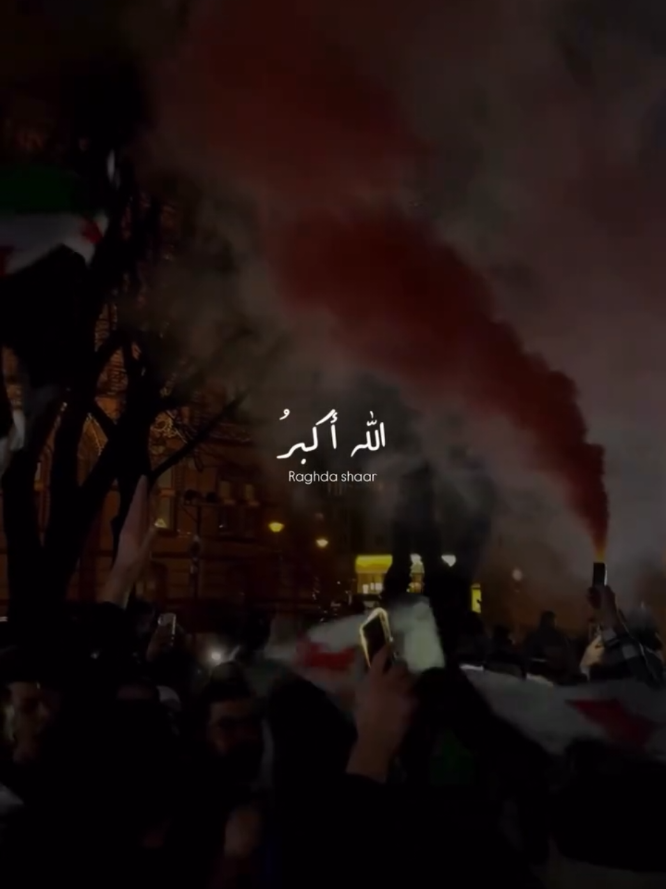 الذكرى السنوية لتحرير سوريا 8/12/2024💚🤍#بدون_موسيقى_لحياه_افضل🔇 #ذكرى_تحرير_سوريا_8_12_2024💚 #الحمدلله_دائماً_وابداً #ترندات_تيك_توك #الشعب_الصيني_ماله_حل😂😂 