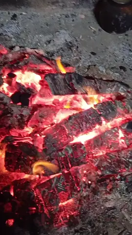 #اكسبلو #متابعة #تفاعلوا #شعراء_وذواقين_الشعر_الشعي🎸💔🥀😔 #الشعب،الصيني،ماله،حل،😂😂 