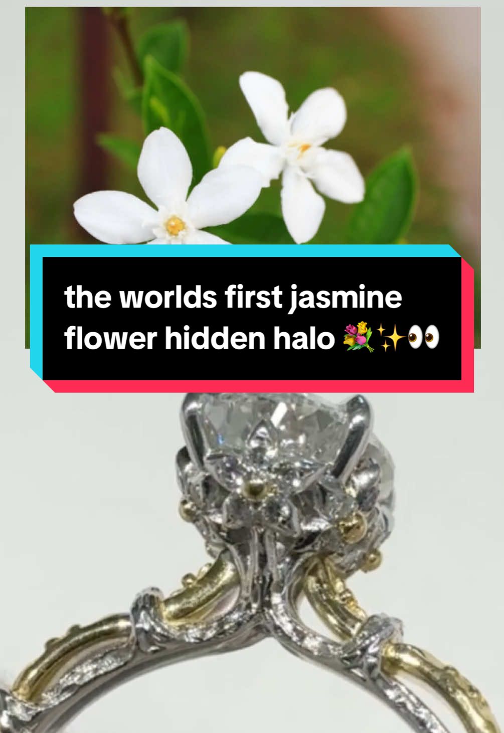 the worlds first Jasmine flower hidden halo!! 🌻🌸