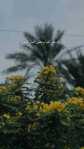 #CapCut  مقابلك بعد الغياب يطول العمر القصير#viral #ترند_العراق #مطر #الشعب_الصيني_ماله_حل😂😂 