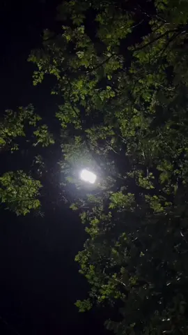 @ALMAXANIM ❣️ @Aydin Sani 🖤 #kesfetteyiz #almaxanim #aydinsani 