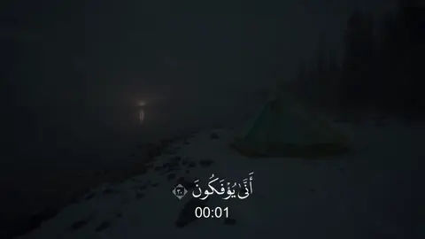 التوبة - #محمد_اللحيدان 