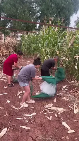 #BalliBotMogis #TrendingReels #TrendingReels #Foryoupage ##FYP #FYP #ViralTikTok #MillionViews #TechMagic #SmartBot #AITrend #RobotVibes #Innovation #PakistaniDrama #DramaZone  #OfficialChannel  #PakistaniTikTok  #ForYou  #ViralVideo  #TikTokPakistanOfficial  #ExposePoint #Team7Bro  #FYP #RelatableContent  #DramaticStory  #EmotionalScene  #ViralPakistaniDrama  #GrowTogether  #exposepoint  #team7bro  #foryoupage #foryou  #account #grow  #video #Viral #4748❣️ #4748❤️ 