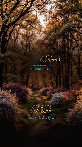 سورة الزمر#سورة_الزمر #شريف_مصطفى #وسيق_الذين_اتقوا_ربهم_الي_الجنه_زمرا #ارح_سمعك_بالقران #CapCut 