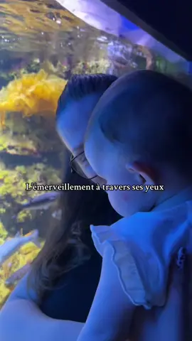 Retour sur notre passage de cet été, son premier aquarium !  @aquariumlarochelle 💙🪼 Un bébé émerveillé ! 🥹✨ #aquarium #aquariumfish #babygirl 