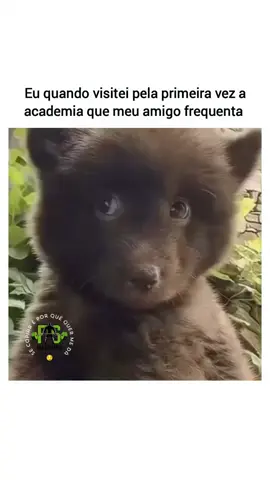 #fypp #vaiprafy #fyppage 