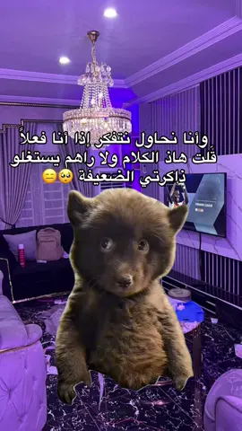 #Meme #MemeCut #abonné_tchouf_jdid🇩🇿🇲🇦🇹🇳😍 #اكسبلورexplore #MemeCut  @c.oussama.officiel  @c.oussama.officiel 