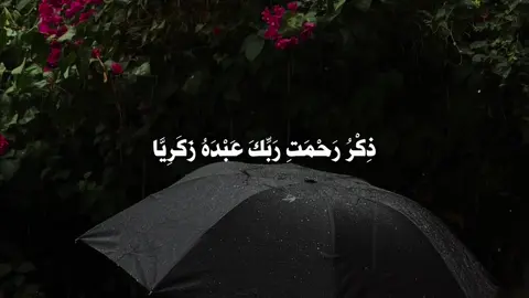 سبحان الله وبحمده ، سبحان الله العظيم 📻 | #قران #fyp #قران_كريم #اكسبلور 