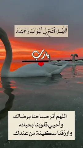 #دعاء_الصباح #اللهم_فرج_همومنا_واصلح_احوالنا #يارب_فوضت_امري_اليك #اللهم_بشرنا_بفرحه_تسر_خواطرنا #اللهم_صلي_على_نبينا_محمد 