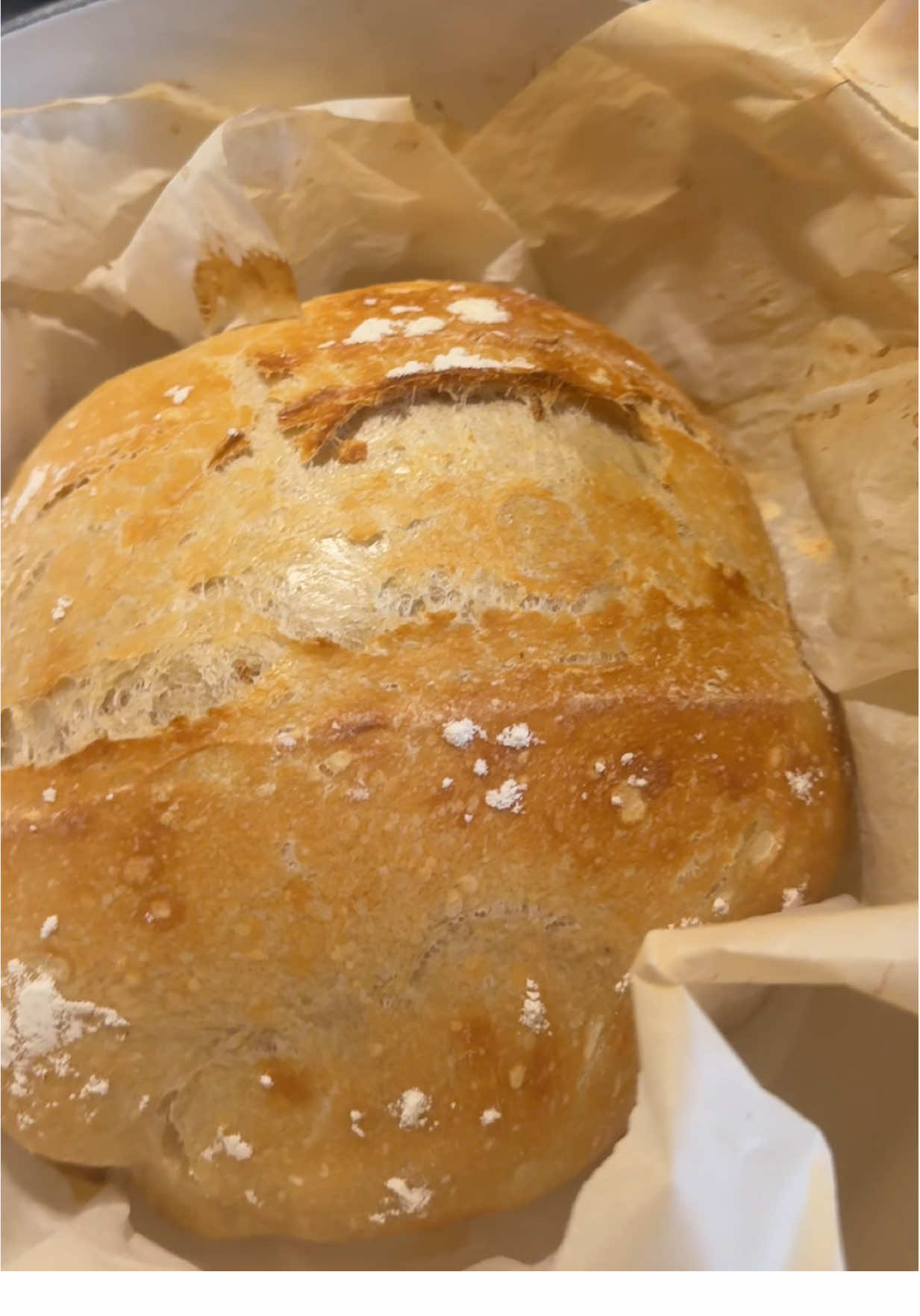 Never back down never WHAT!!! #sourdoughbread 