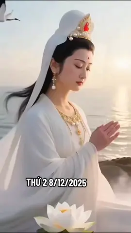 #chaongaymoithu2trandaymaymanvabinhannhe #nammoadidaphat #maymantailocseden #phongthuycaivan 