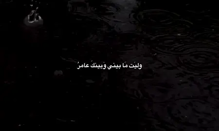 وليَت مَا بيني وبينك عامرُ  وبَيني وبُين العِالمين خرابُ#احمد_الوائلي_رحمه_الله #باسم_الكربلائي #تصيمم_فيديوهات🎶🎤🎬 #fyp #viral 