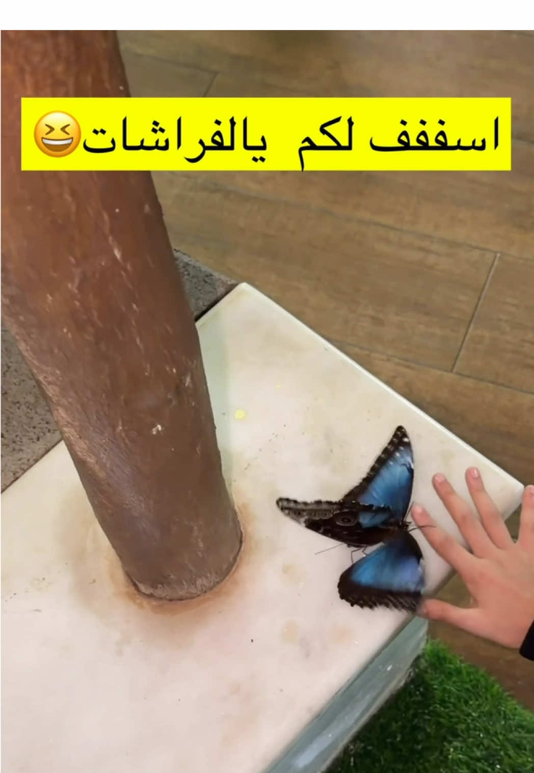 #فيصل_الفيصل #ksa🇸🇦 #uae🇦🇪 #fypシ #fypシ゚viral🖤tiktok 