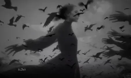 قديم يروحي #رقه #ناي #فرح #ام_الطيور #fypシ゚ 