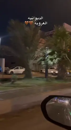 واخيراً مطرت 🥹😭🤎. . . . . . . . . . . . . . . . . . . . . . . . . . . . . . . . . . . . . . . . . . . .#الديوانية #العروبه #اكسبلور #fyp #الشعب_الصيني_ماله_حل😂😂 