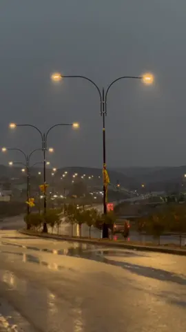 گرده سين🫶#لايكات #فولو #متابعه_ولايك_واكسبلور_احبكم #اكتيف_سفره 