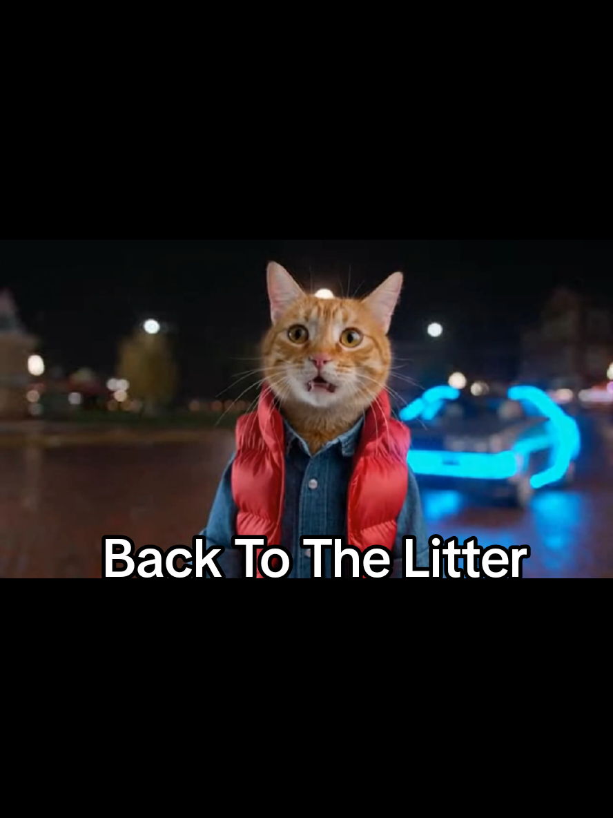 An orange tabby and a wild Doc cat take a busted time machine on a filthy trip through 1985 and the past just to mess with snacks and the space time line. #catsoftiktok #fyp #orangetabby #cattrailer #BackToTheLitter