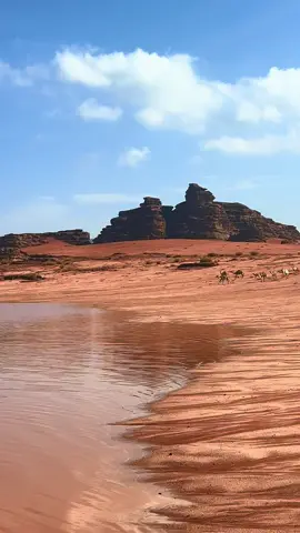 #بجده_تبوك_المنطقة_الشمالية #الوسم #مطر 