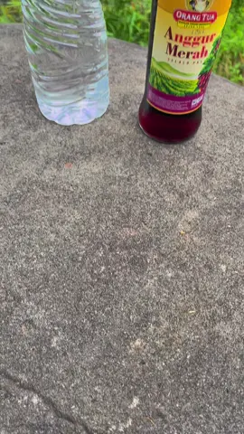 sak jamunan gek budal mancing #segaran #sungai #foryou #fyp #madiun24jam 